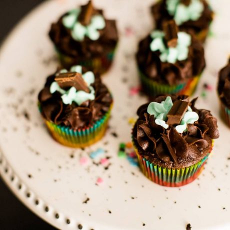 Chocolate Mint Cupcake with Dark Chocolate Frosting / Mint